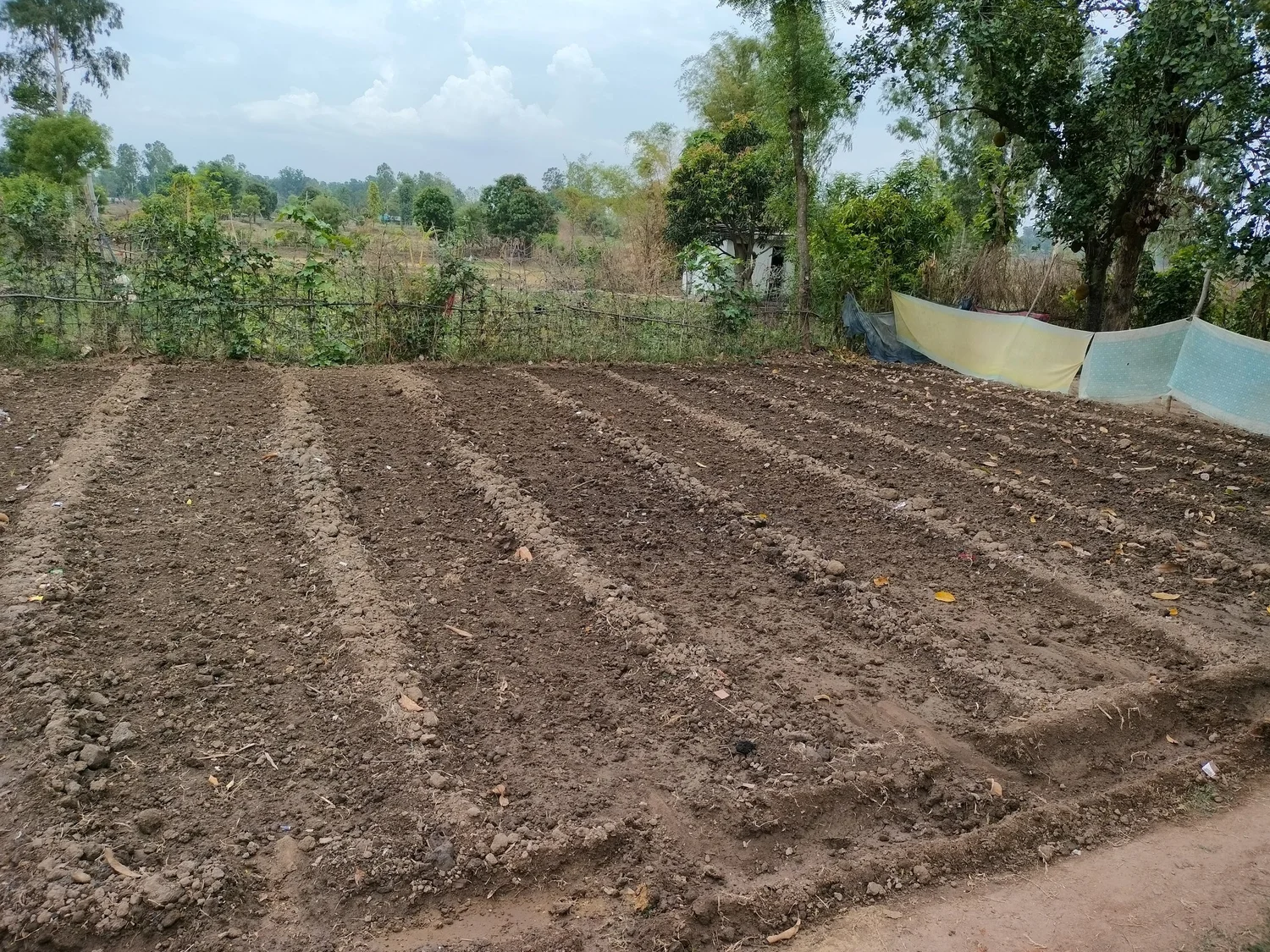 GRVC field photo